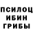 Галлюциногенные грибы GOLDEN TEACHER Abay Ald