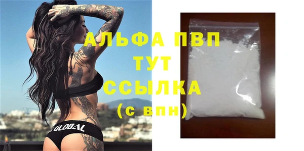 ПСИЛОЦИБИНОВЫЕ ГРИБЫ Белокуриха