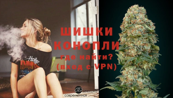 ПСИЛОЦИБИНОВЫЕ ГРИБЫ Белокуриха