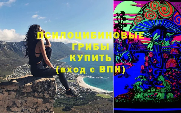 эйфоретик Беломорск